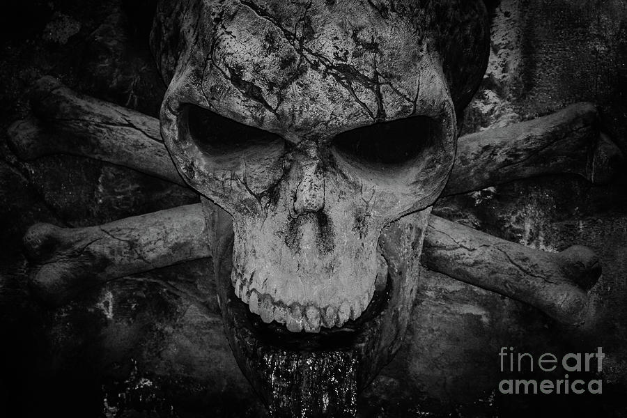 Skull and crossbones water feature black and white Photograph by Eddie Barron