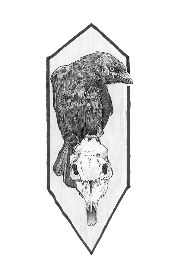 Skull and Crow Drawing by Tiffany DiGiacomo