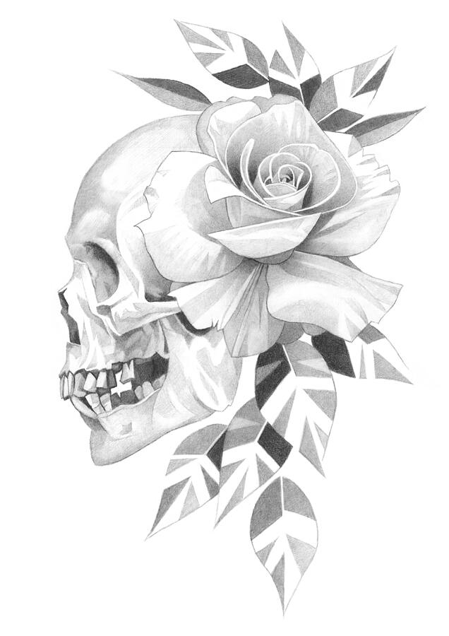 Skull and Rose Pencil Drawing 4 Drawing by Matthew Hack - Fine Art America