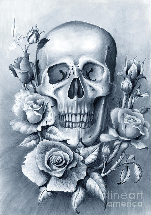 Skull And Roses Drawing
