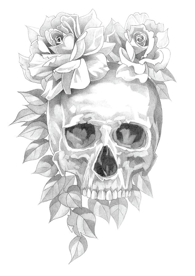 Skull and Roses Pencil Drawing 1 Drawing by Matthew Hack - Fine Art America