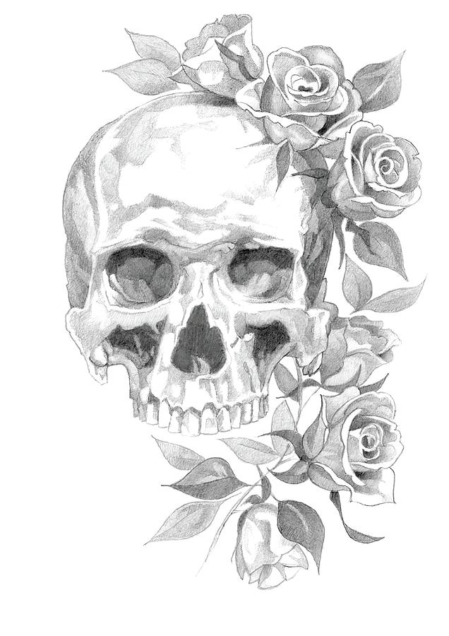 Skull and Roses Pencil Drawing 6 Drawing by Matthew Hack - Pixels