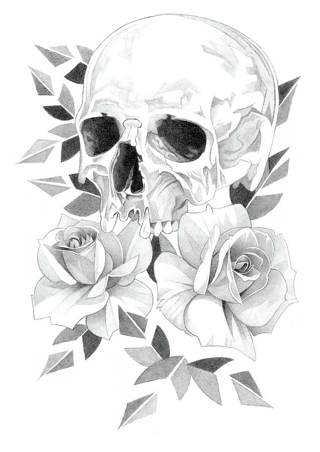 Skull and Roses Pencil Drawing 7 Drawing by Matthew Hack - Fine Art America