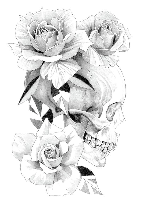 Skull and Roses Pencil Drawing 9 2 Drawing by Matthew Hack - Fine Art ...