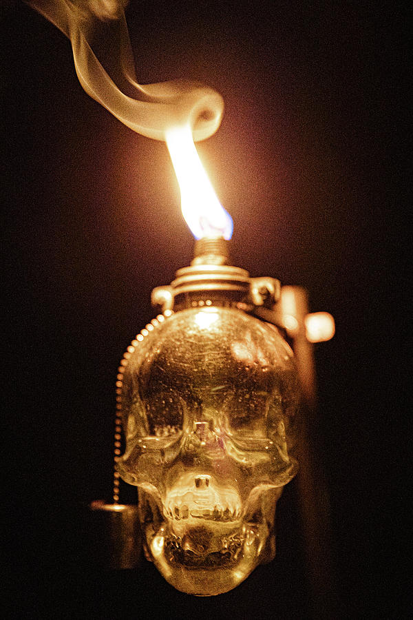 Skull Fire Photograph by Denise Kopko