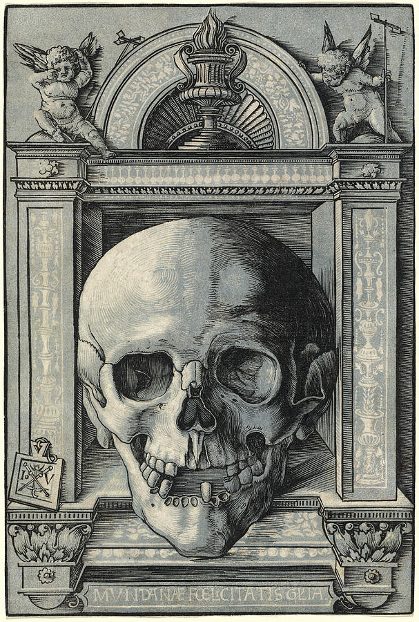 Skull Drawing by Hans Wechtlin