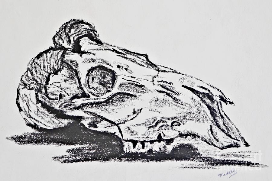 Skull II Drawing by Michelle Kennedy