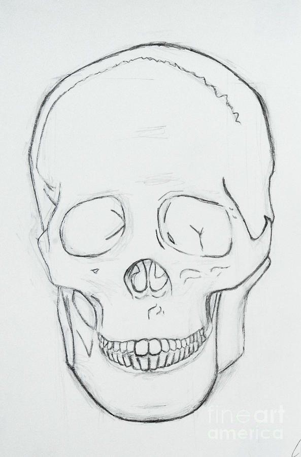 How to Draw a Sugar Skull - HelloArtsy