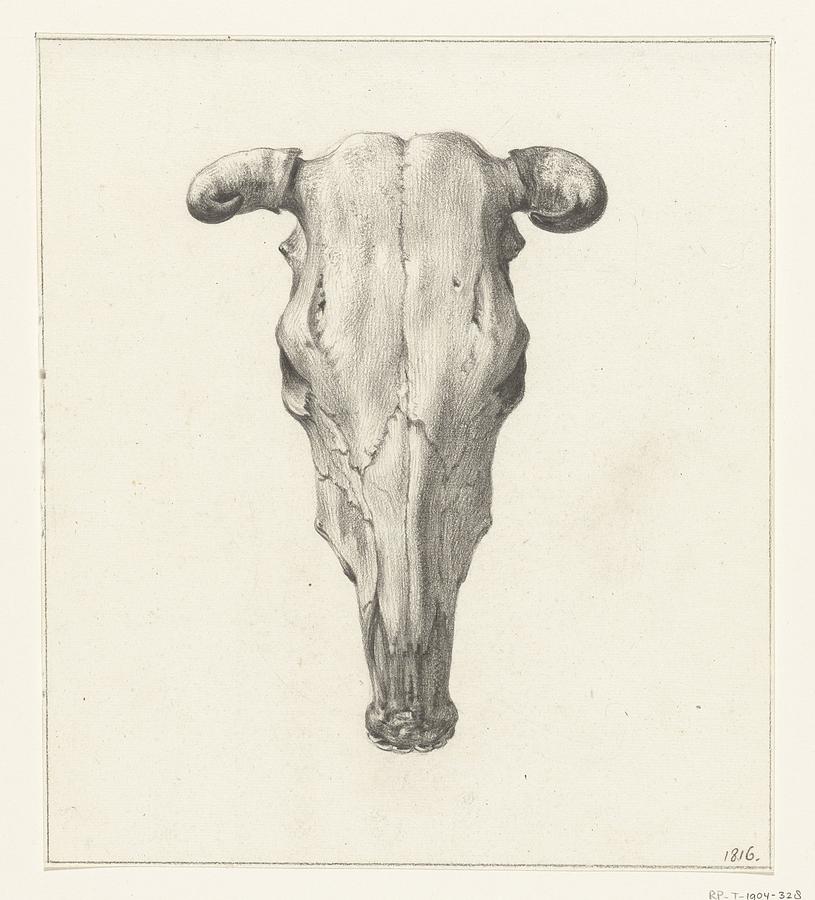 Abstract Painting - Skull of a cow, seen from above, Jean Bernard, 1816 by Arpina Shop