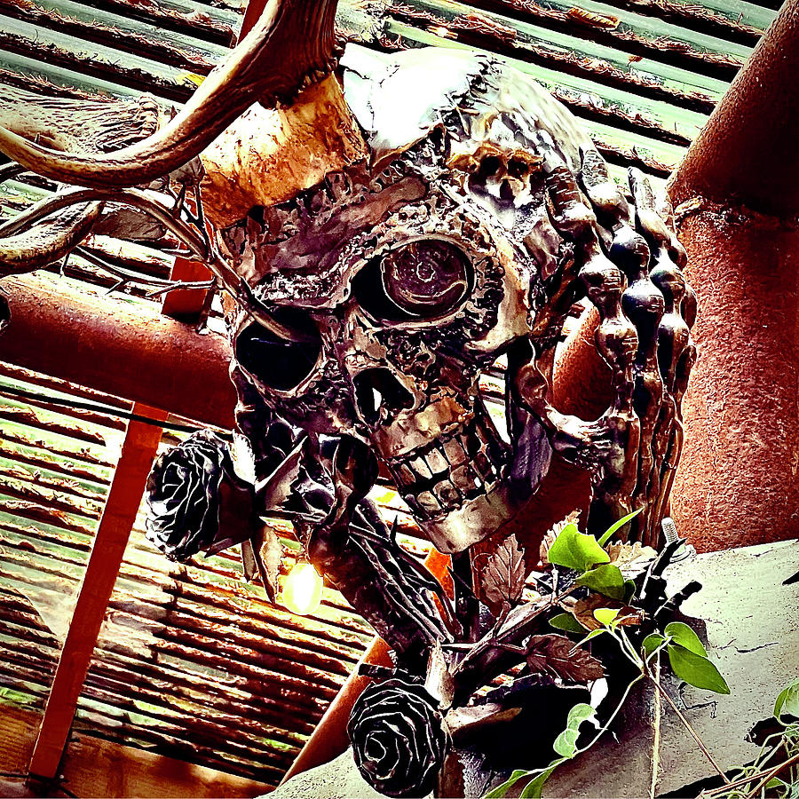 Skull of Steel Photograph by Artist Unknown