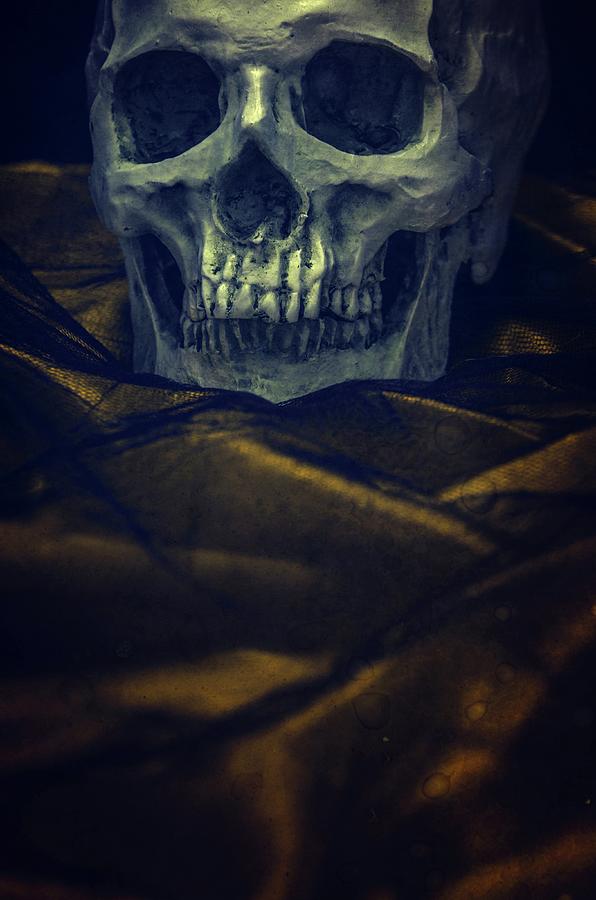Skull on Crumpled Fabric II Photograph by Carlos Caetano