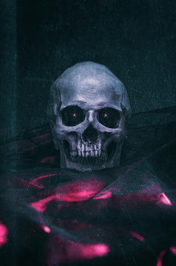 Halloween Photograph - Skull on Crumpled Fabric III by Carlos Caetano