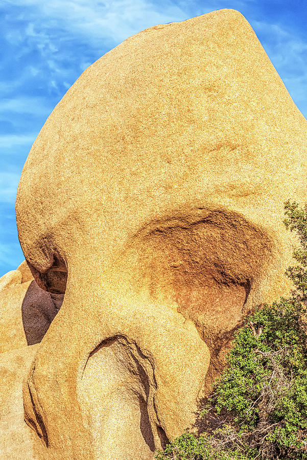 Skull Rock Joshua Tree National Park Photograph by Joseph S Giacalone