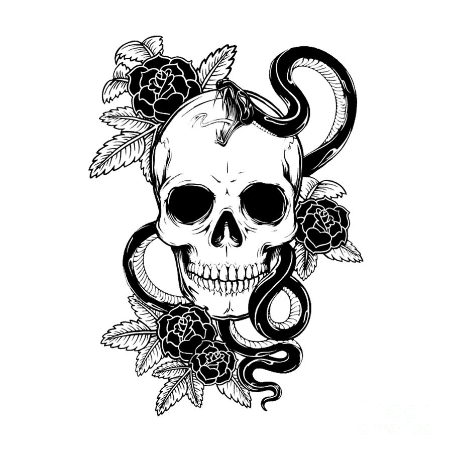 Skull Snake Rose Digital Art by Polina Qodam - Fine Art America