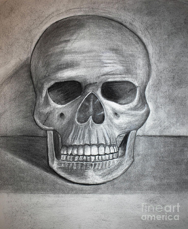 Skull Solitarius Drawing by Nicole Robles
