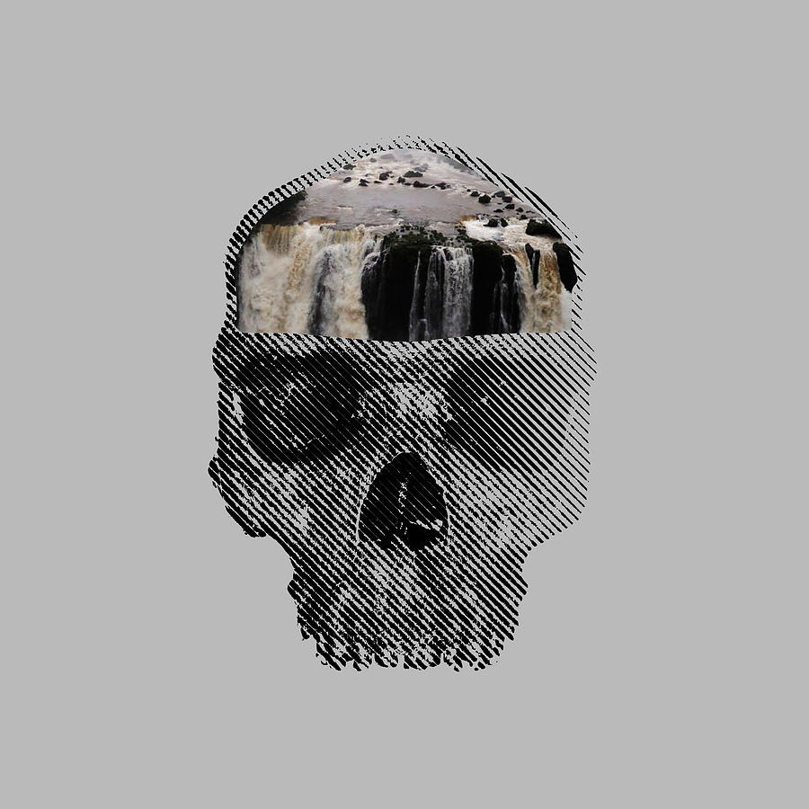 Skull Thinking Digital Art by Vetor Total | Pixels