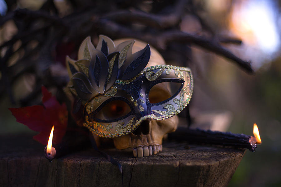 Skull with mask Photograph by Teresa Lett