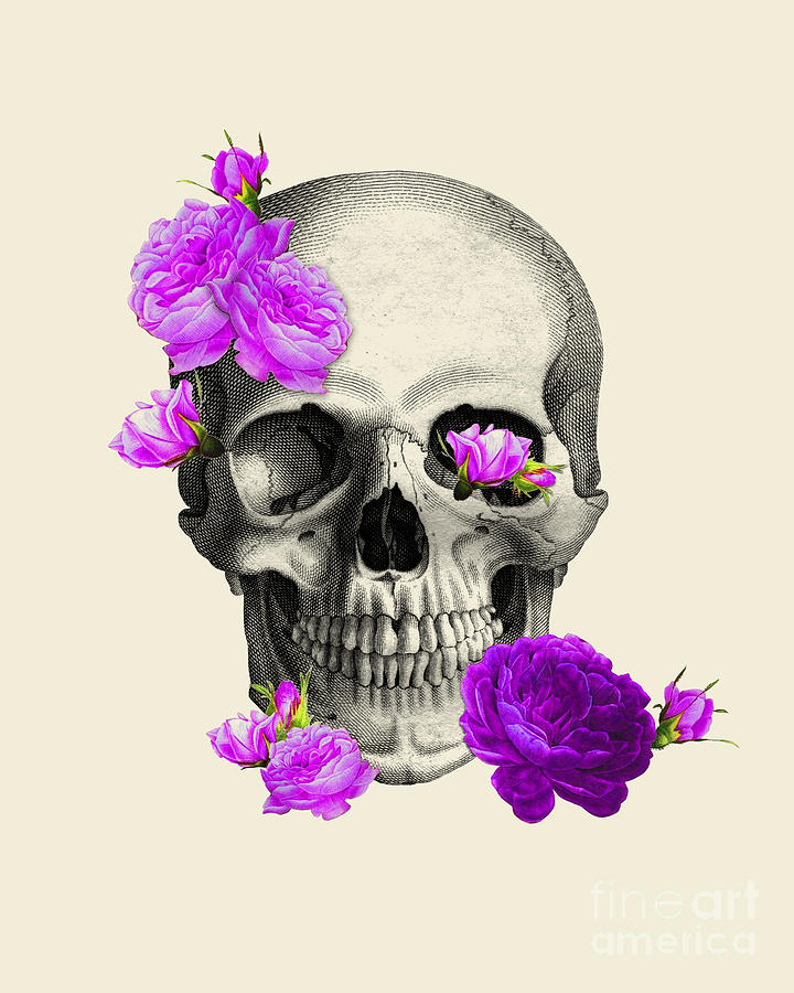 Skull Digital Art - Skull with purple roses by Madame Memento