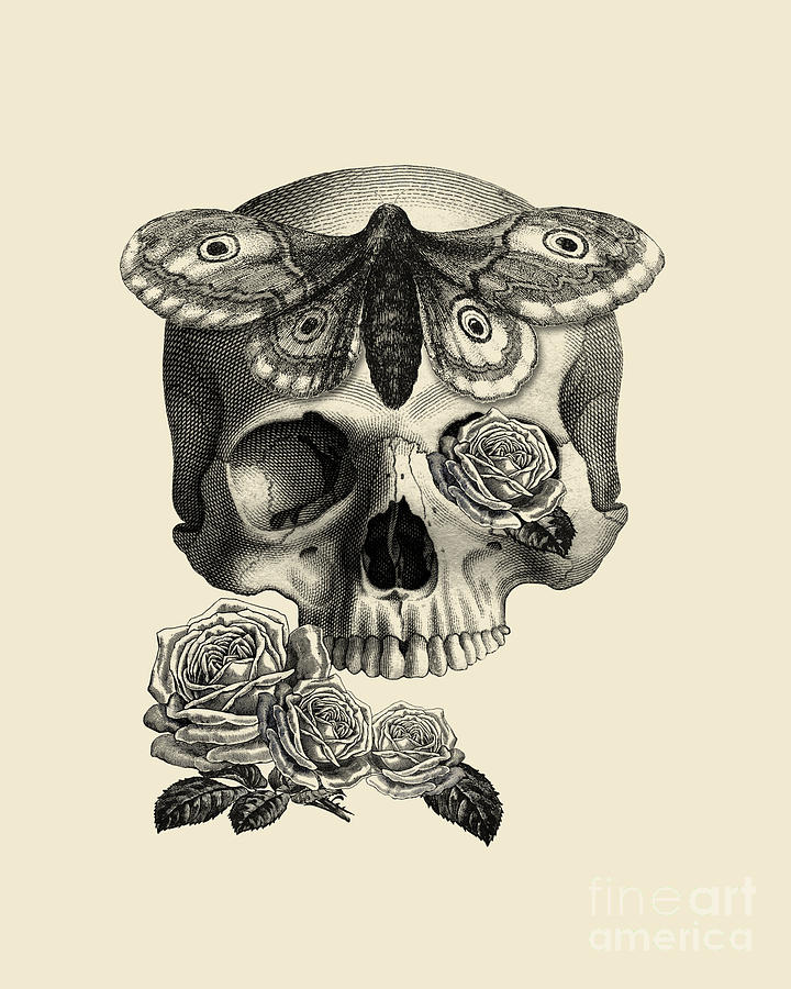 Skull With Roses And Moth Digital Art by Madame Memento - Pixels Merch