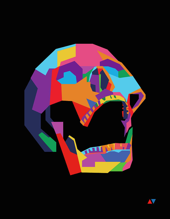 Skull Wpap Style 005 Digital Art