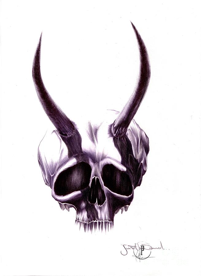 Skull X Drawing by Pat Bisson - Fine Art America