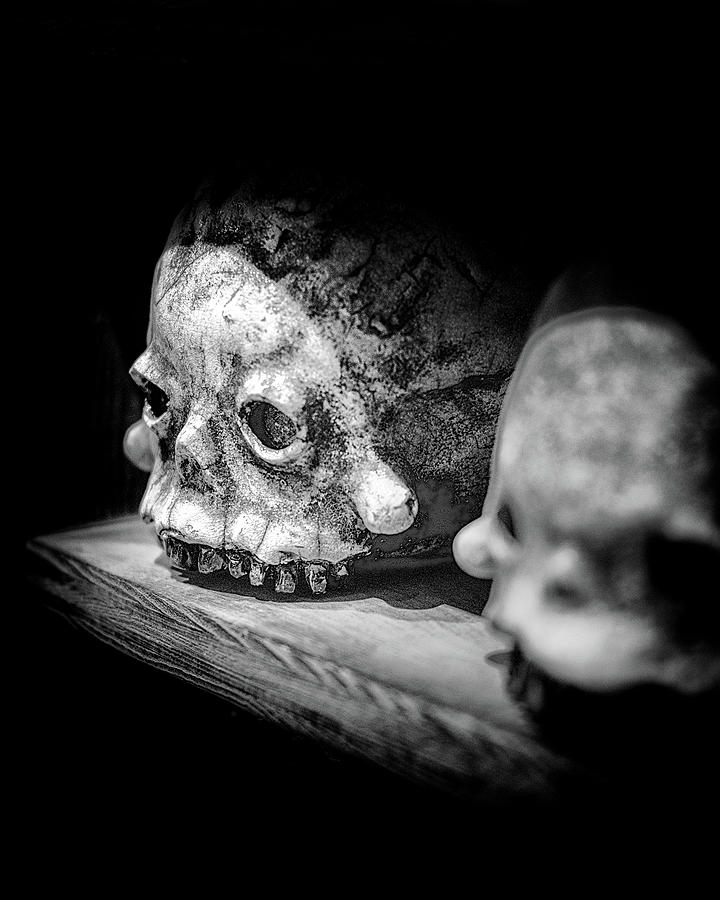 Skullery Photograph by Scott Wyatt