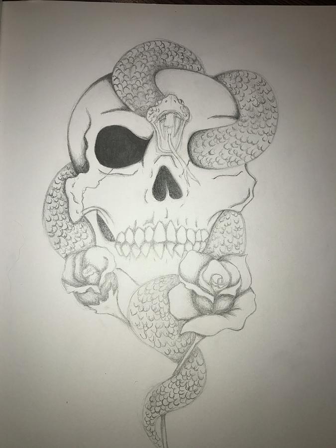 Skulls and Roses Drawing by Gracie Fitzhugh - Fine Art America