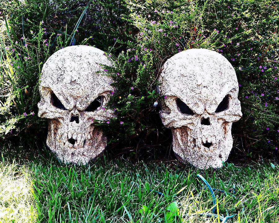 Skulls On Grassy Ground Photograph by Andrew Lawrence