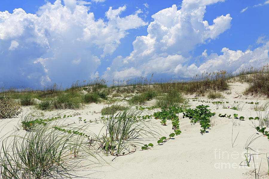Sky and Sand Photograph by Mary Haber