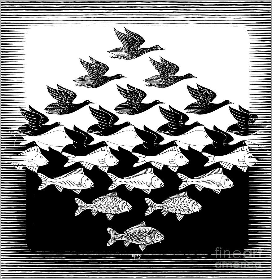 Bird Drawing - Sky and Water by MC Escher