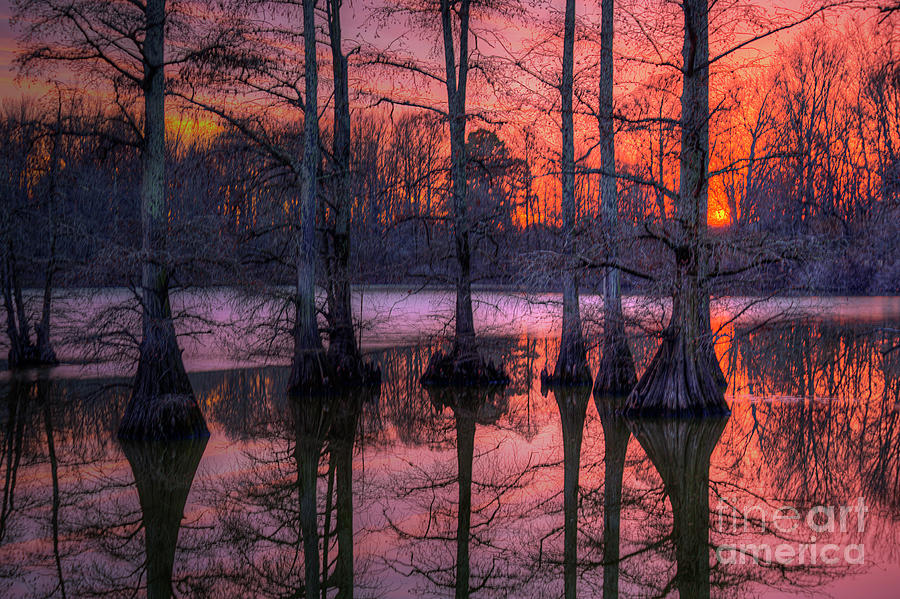 Sunset Photograph - Sky at Sunset on Horseshoe Lake  by Larry Braun