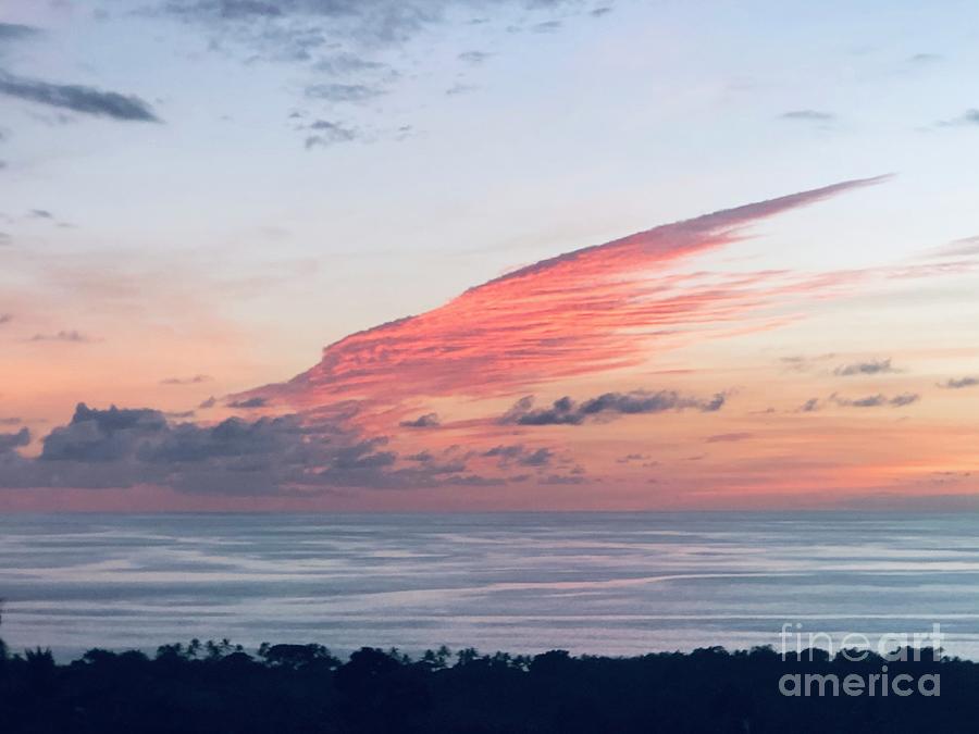Sunset Photograph - Sky Bird by Karen Nicholson