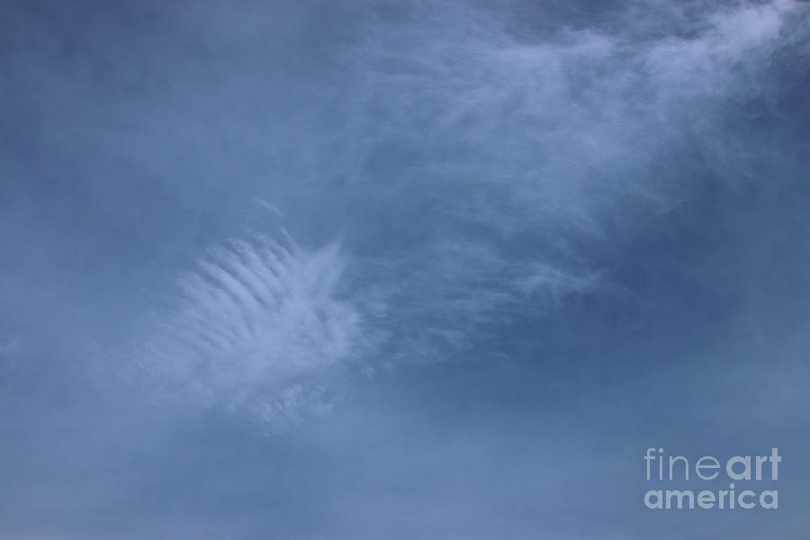Sky Feather Photograph by Kimberly Furey