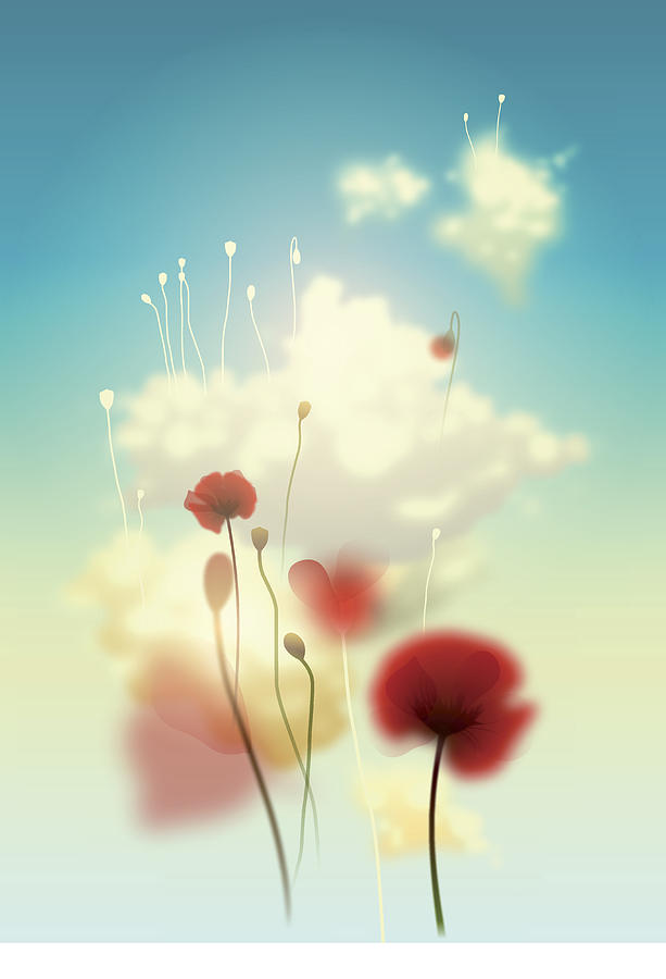 Sky Flowers Drawing by Axllll