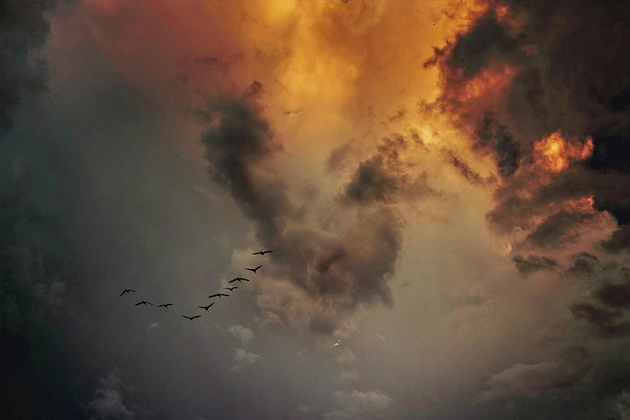 Sky Of Cold  Autumn 2022 Photograph by Aleksandrs Drozdovs