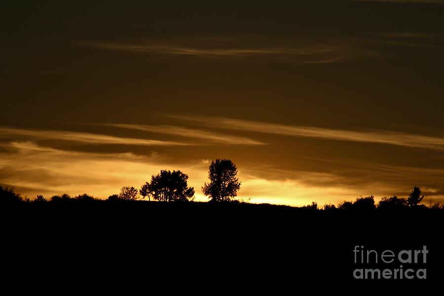 Sky of Gold Photograph by Ann E Robson