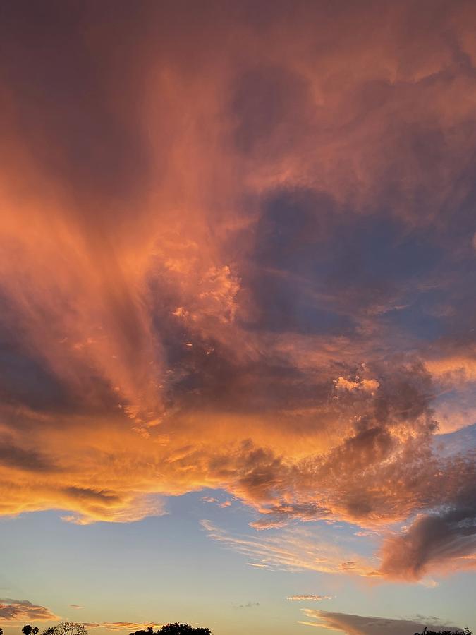 Sky On Fire Photograph by Arlene Carmel