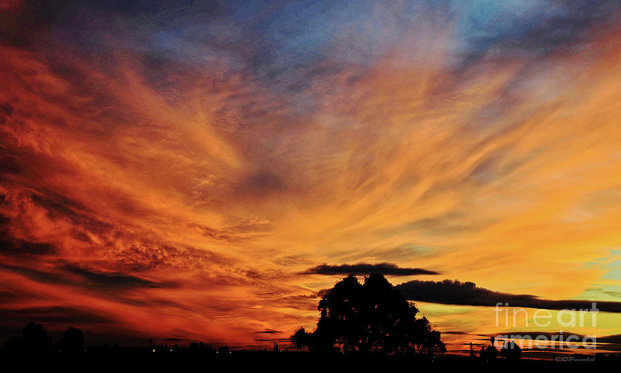 Sky On Fire Photograph by Debby Pueschel