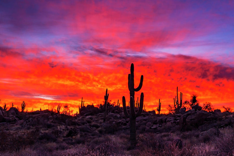 Sky On Fire Sunrise In the Arizona Desert Photograph by Ray Redstone ...