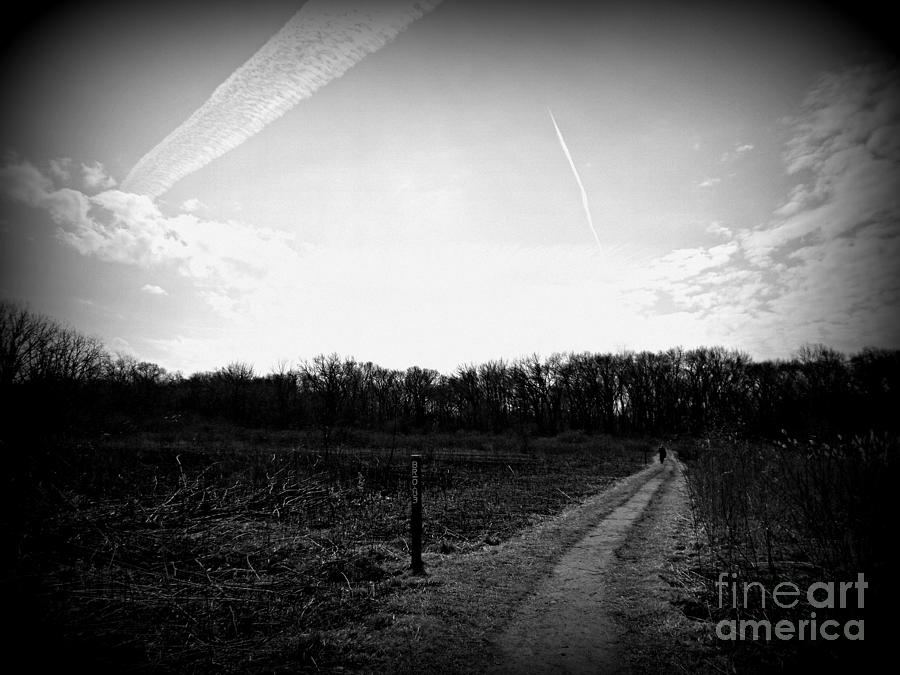 Sky Over The Wetlands - Holga Effect Photograph by Frank J Casella