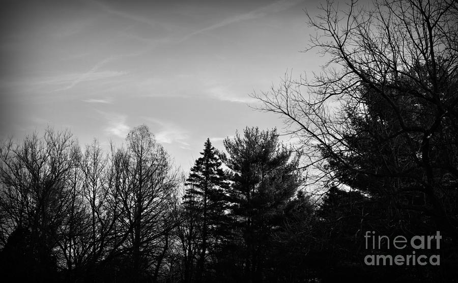 Sky Patterns Black and White Photograph by Frank J Casella