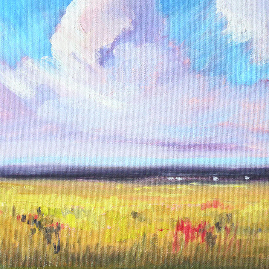 Sky Play Painting by Nancy Merkle