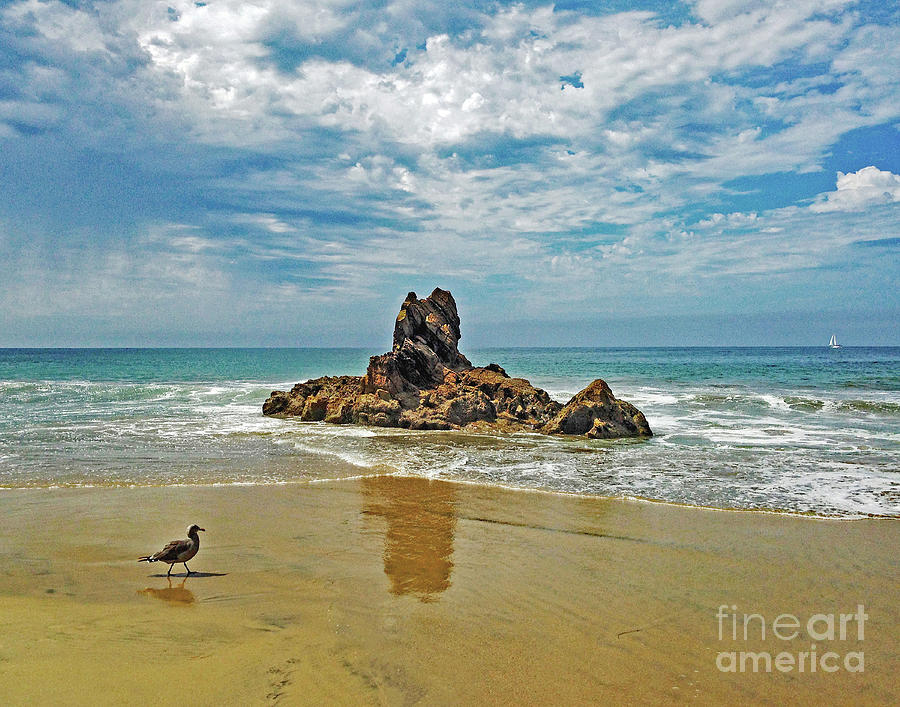 Sky Sea and Sand Photograph by Cheryl Del Toro