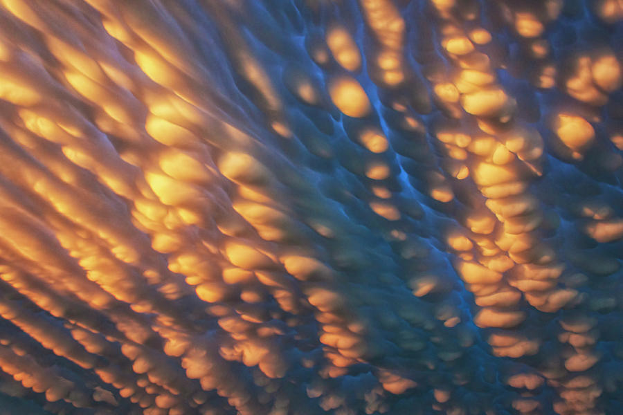 Sky Veins Photograph by Chris Allington