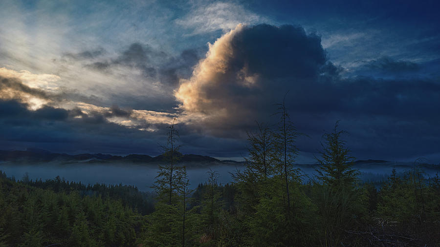 Sky Visions - Oregon Coast Photograph by Bill Posner