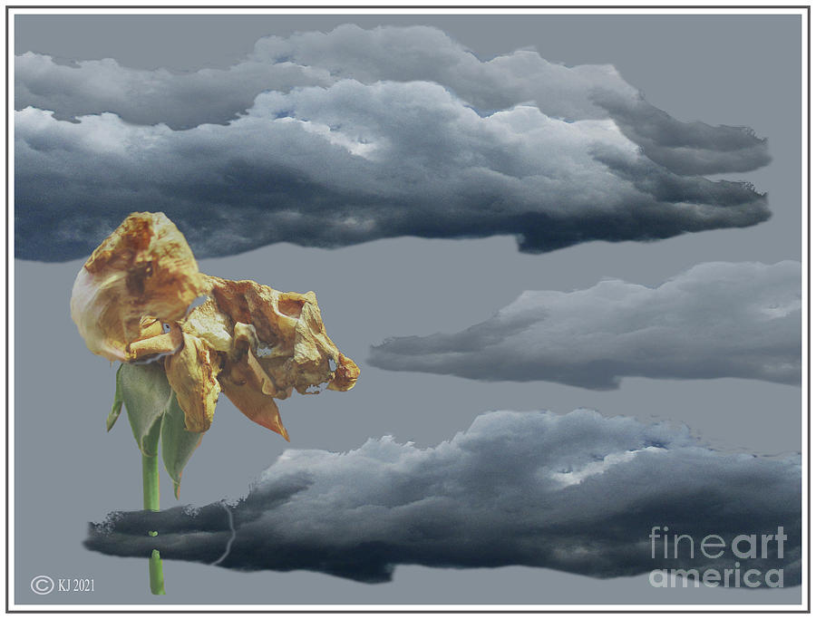 Sky b with Flower  Digital Art by Klaus Jaritz