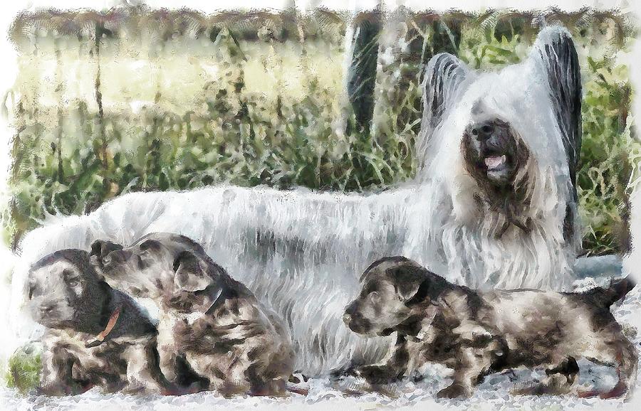 Skye Terrier And Pups Mixed Media by Janice MacLellan