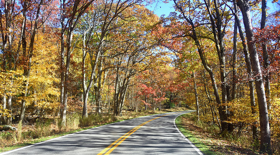 Skyline Drive - Shenandoah Virginia Photograph by Brendan Reals - Fine ...