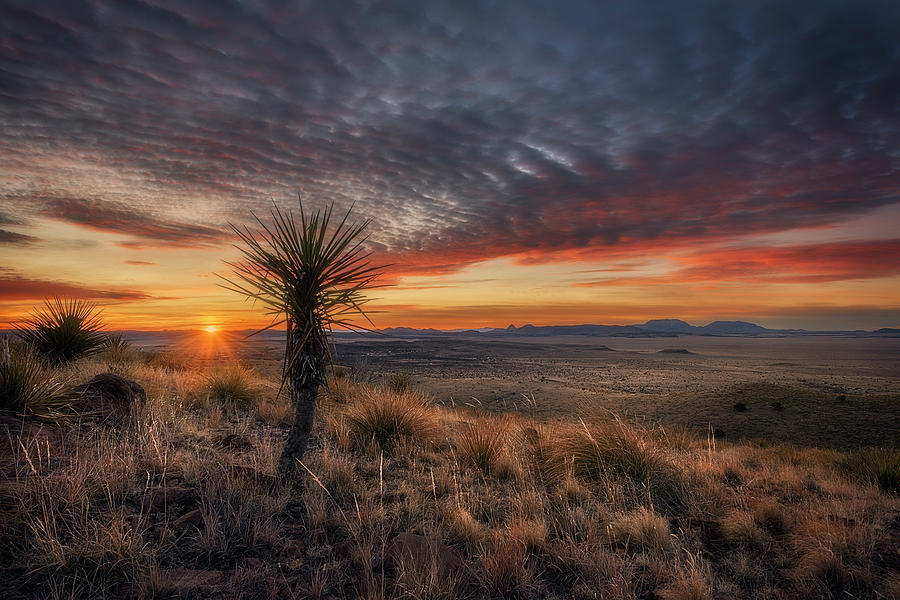 Desert Photograph - Skyline Sunrise by Slow Fuse Photography