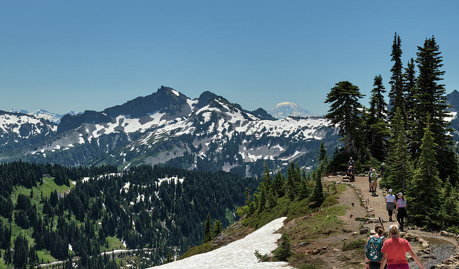 Skyline Trail Mt Rainer Photograph by Jenware Photography - Fine Art ...